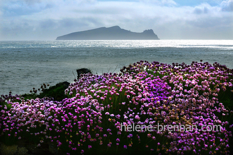 Clogher 3706 Photo