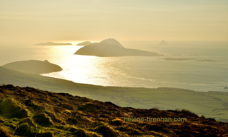 Blasket Islands 0922 Photo