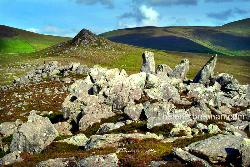 At Clogher Head 0056 Photo