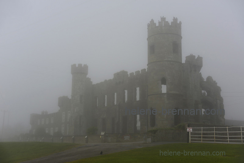 Ballyheigue Castle in the Fog 0411-2 Photo