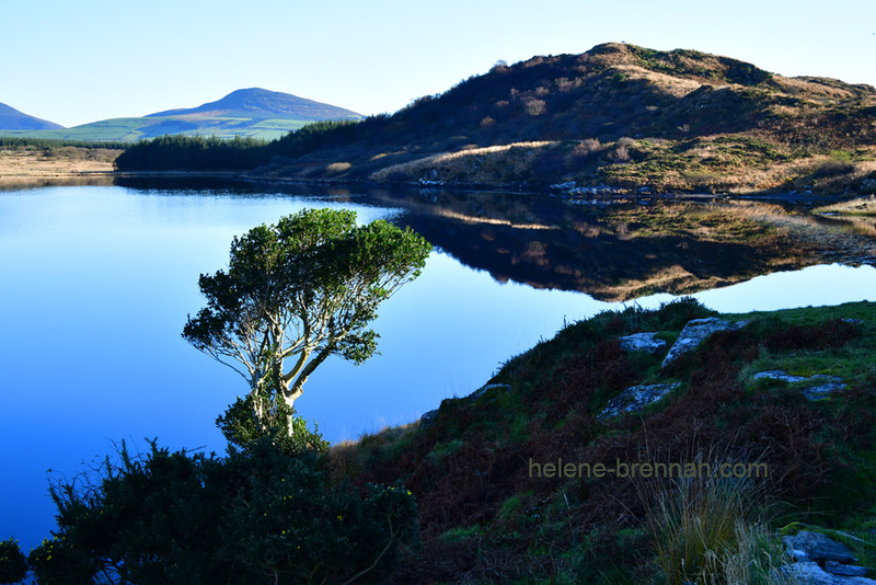 Annascaul Lake 3488 Photo