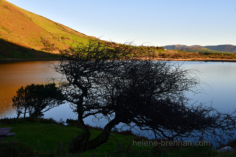 Annascaul Lake 3596 Photo