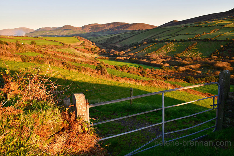 Dingle Roadside View 3628 Photo