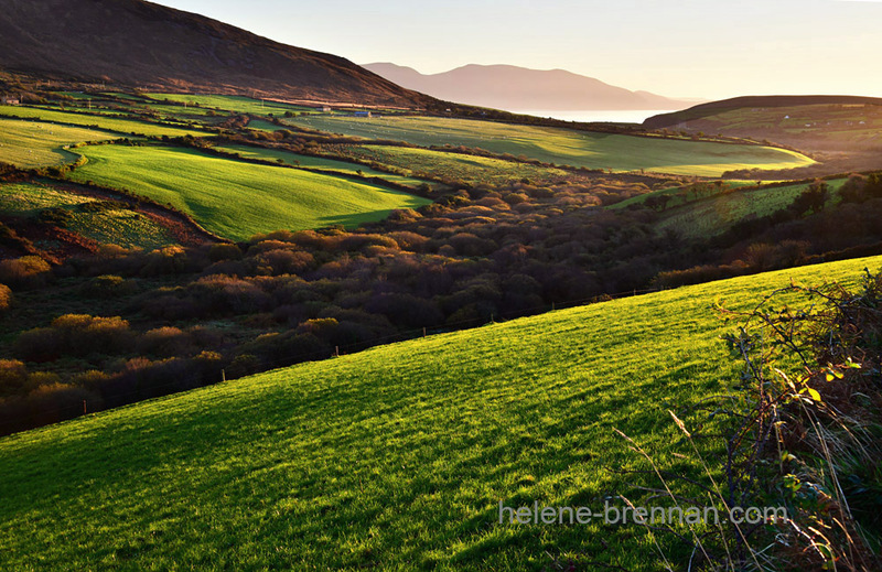 Dingle Roadside View 3626 Photo