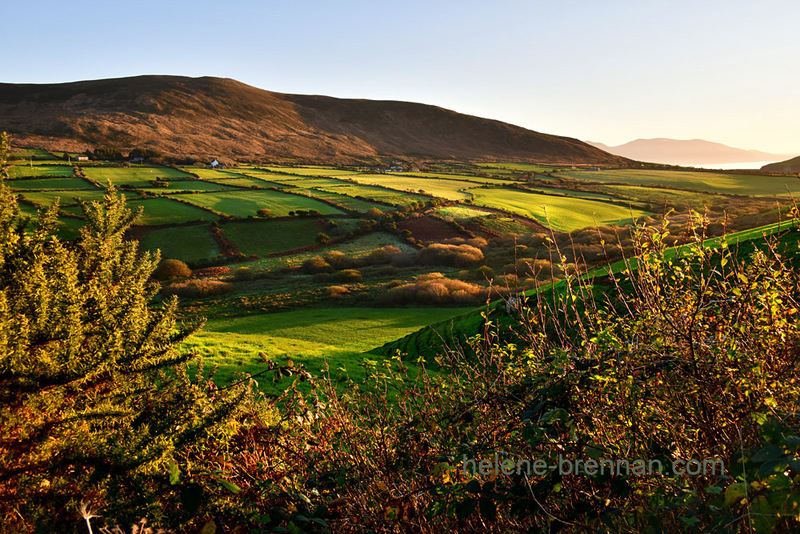 Dingle Roadside View 3624 Photo