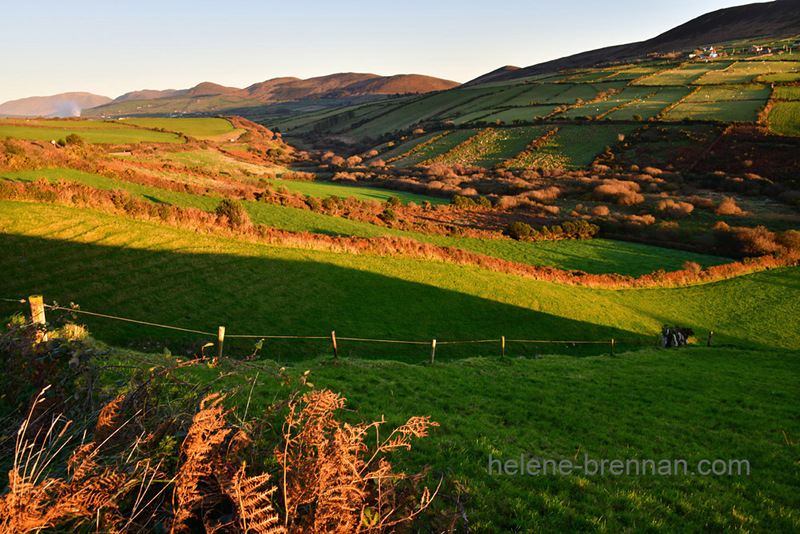 Dingle Roadside View 3627 Photo