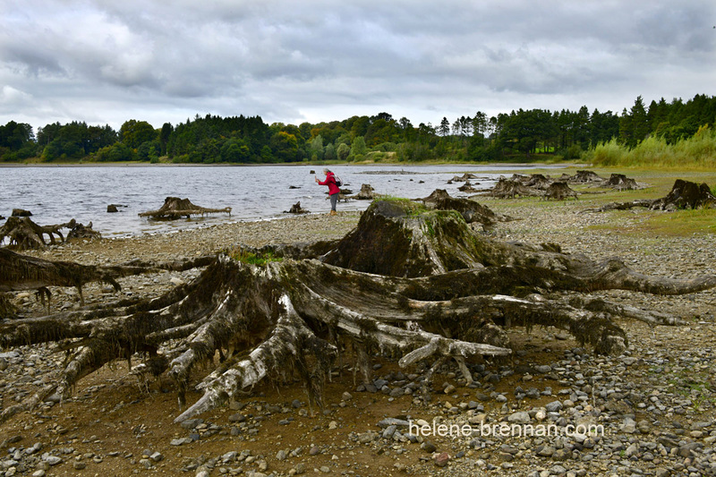 Blessington Lakes 7918 Photo