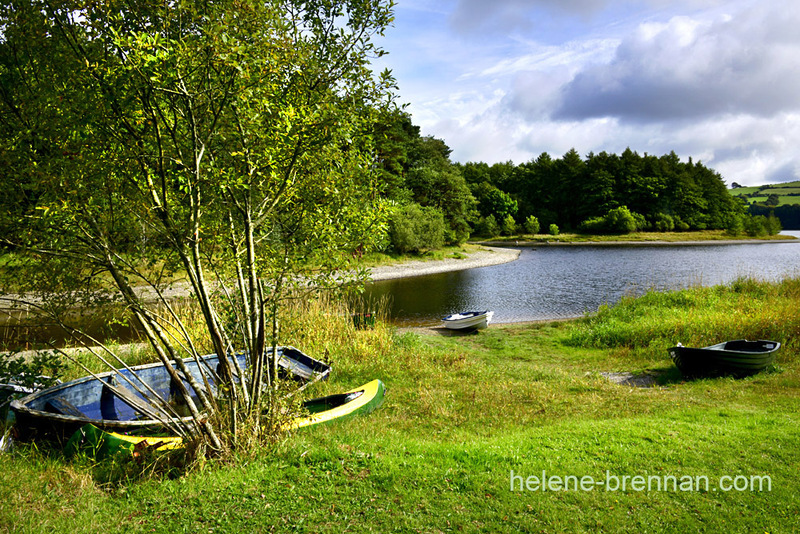 Blessington Lake 7872 Photo