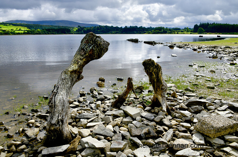 Blessington Lake 7093 Photo