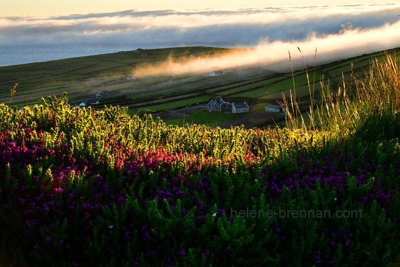 Dunquin Misty View 6881 Photo