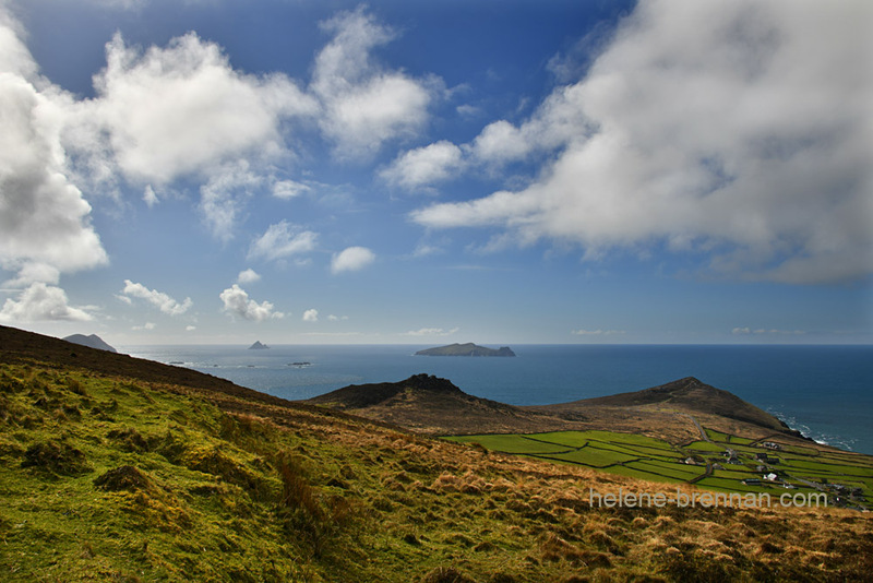 Blasket Islands 9304 Photo