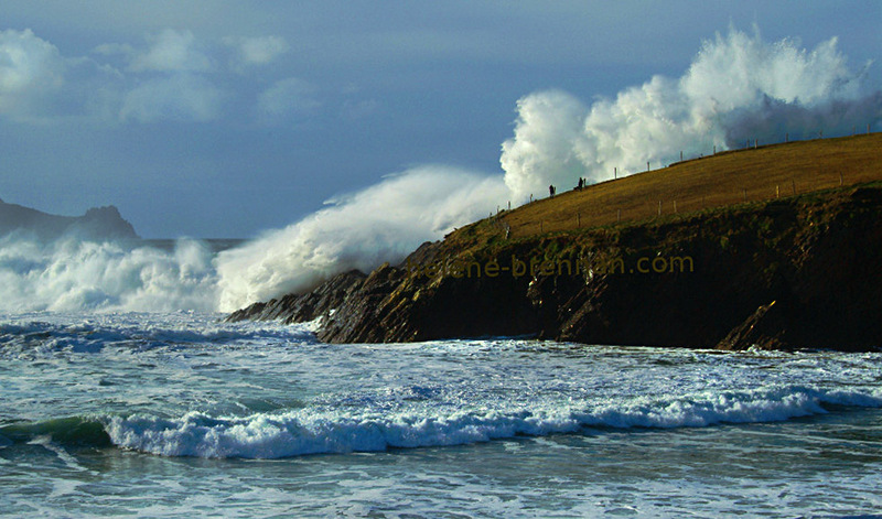 Big Splashy Wave at Clogher Photo