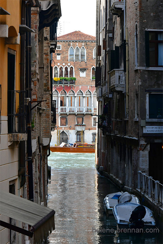 Venice 94546 Photo