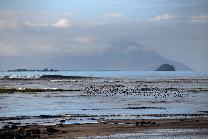 Ballyheigue Beach 0255 Photo