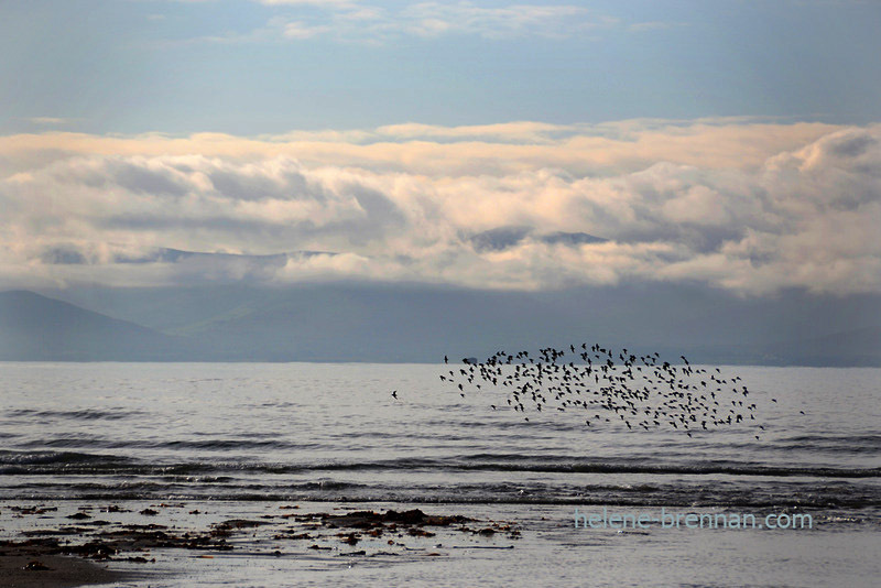 Ballyheigue Beach 0259 Photo