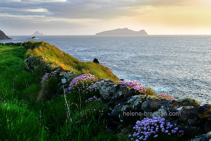 Sleeping Giant and Sea Pinks 9903 Photo