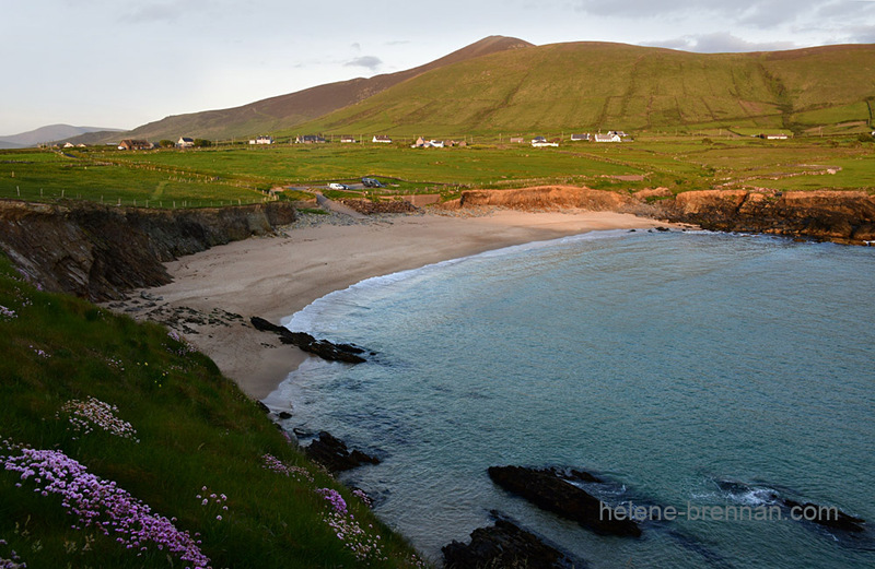 Clogher Beach 9885 Photo