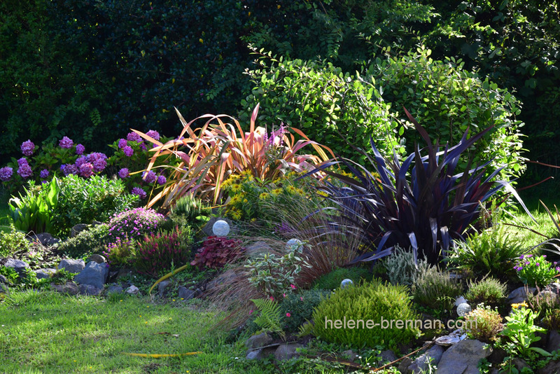 Garden Rockery 0369 Photo