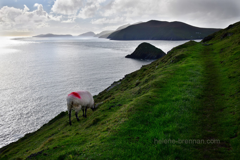 View from Dunmore Head 0571 Photo