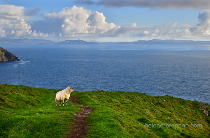 View from Dunmore Head 0591 Photo