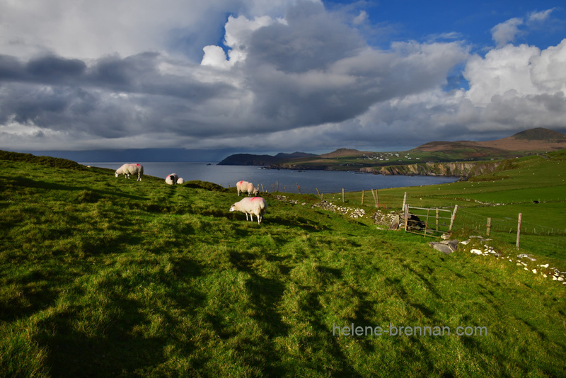 View from Dunmore Head 0561 Photo