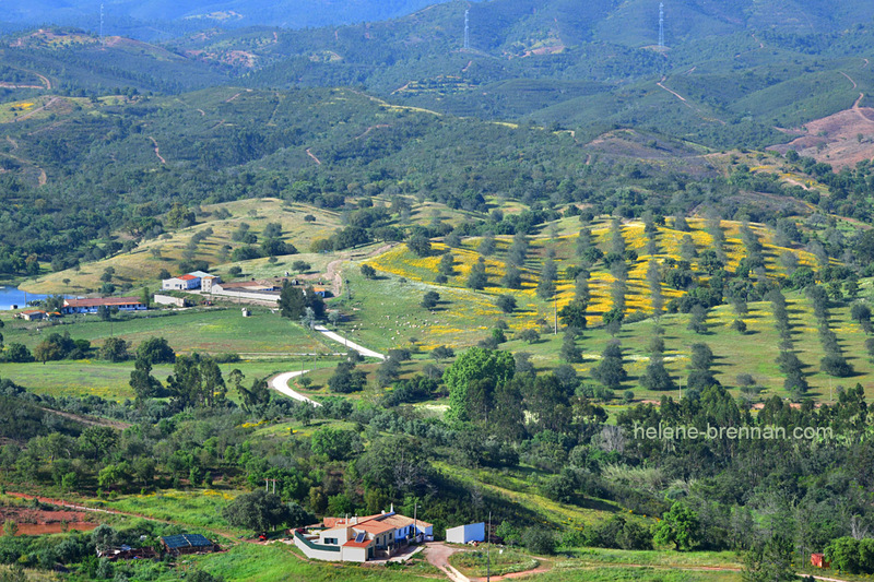 Rural Landscape 0089 Photo