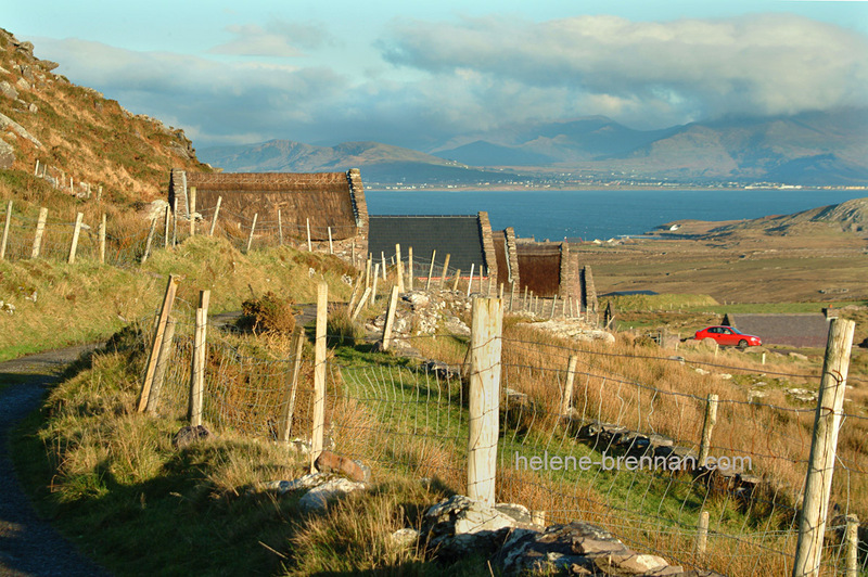Cill Rialaig 062 Photo