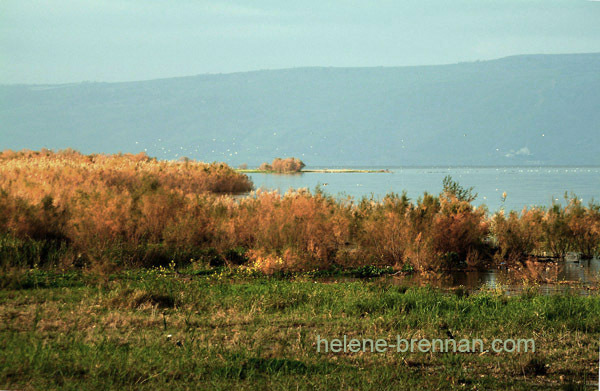 Sunrise on Galilee Photo