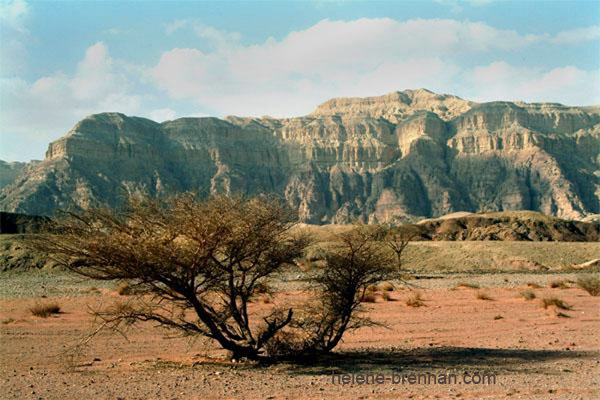 Timna 4 Limited edition photo print