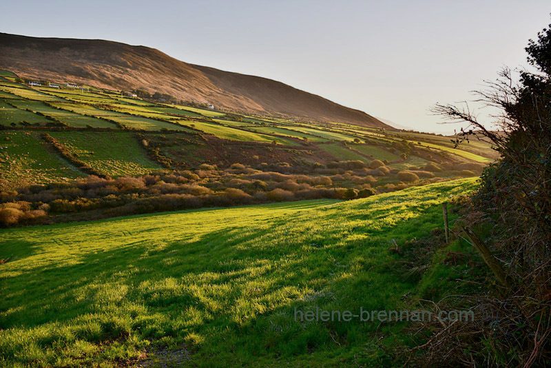 Dingle Roadside View 3618 Photo