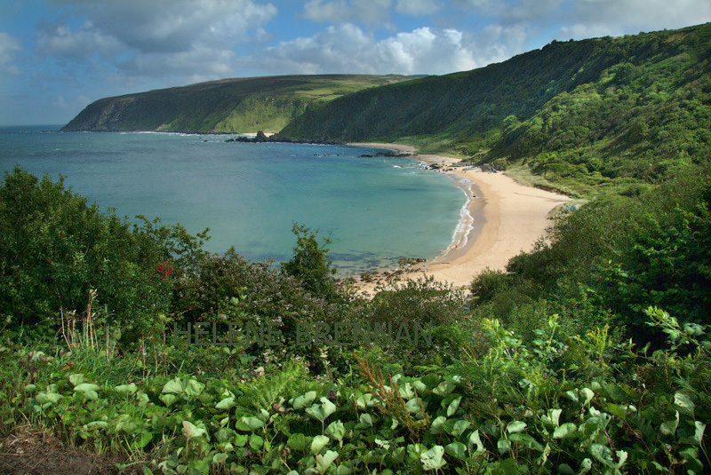 Kinnagoe Beach 23 Photo