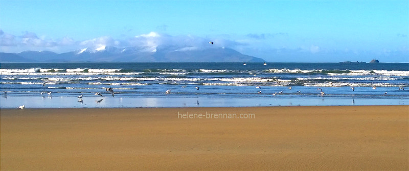 Banna Strand 4142 Photo