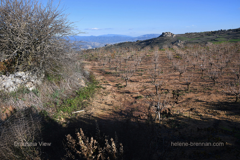 Drouseia View 0090 Photo