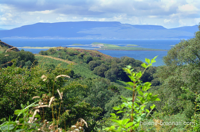 Mayo Landscape with Clew Bay 001 Photo