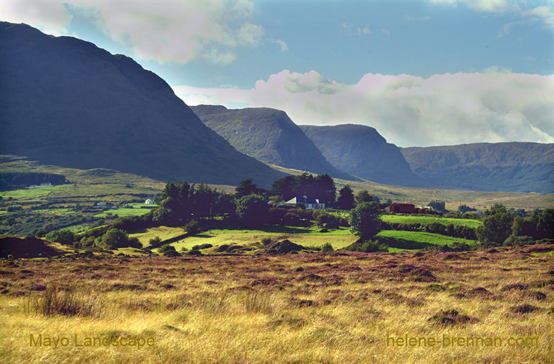 On the shores of Lough Mask Photo