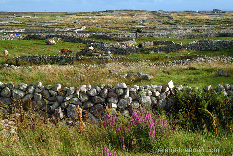 Connemara Landscape 2 Photo