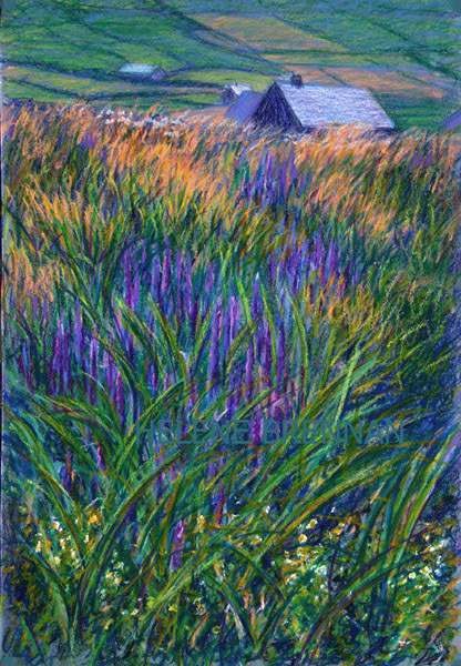 Wildflowers at Cuas, Ballydavid Oil pastel