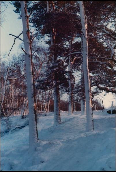 Alderley Edge Photo