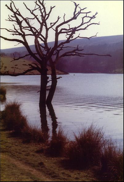 Goyt Reservoir, Cheshire Photo