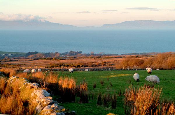 Coastal view, evening light Photo