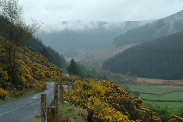 Glendalough Photo