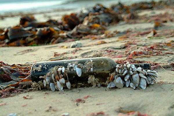 Beach Bottle Photo