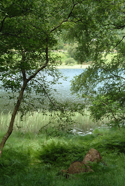 Glendalough 075 Photo