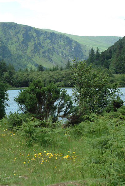 Glendalough 082 Photo