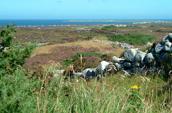 West Donegal 6 Photo