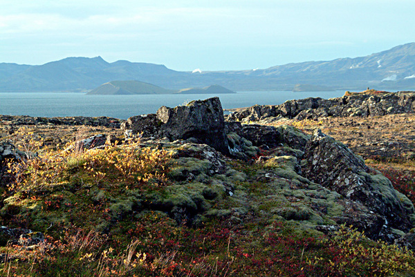 Hakid Lake Thingvellir 89 Photo