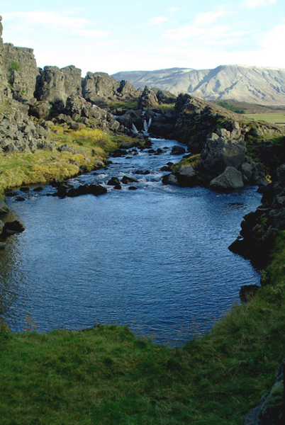 The river Öxará,Thingvellir 97 Photo