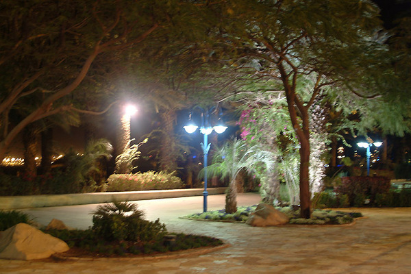 Eilat Night 11 Photo
