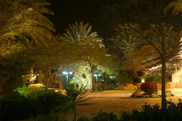 Eilat Night 10 Photo