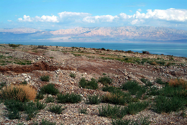 Dead Sea 4 Photo
